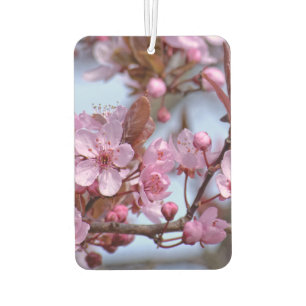 Cherry Blossom Japans Luchtverfrisser