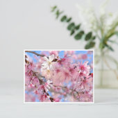 Cherry Blossom "Jugatsu-zakura" Briefkaart (Staand voorkant)