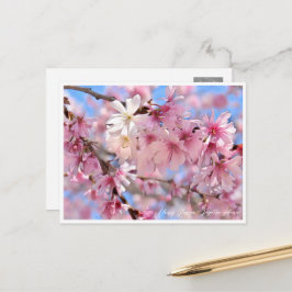 Cherry Blossom "Jugatsu-zakura" Briefkaart