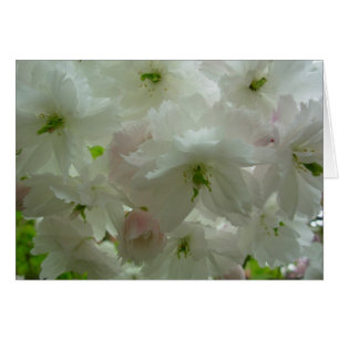 Cherry Blossom Kaart White Blossom Kaart Personali