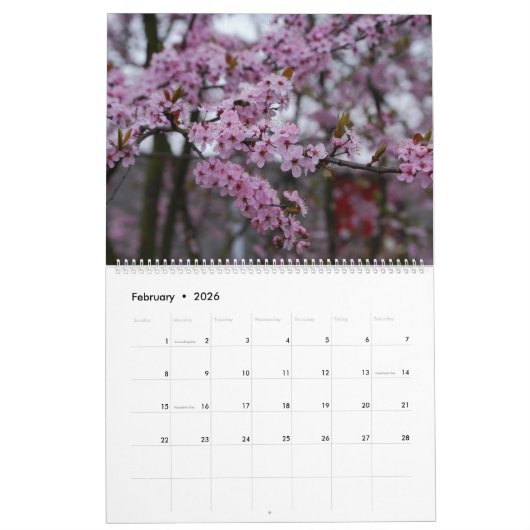 Cherry Blossom Kalender (Feb 2026)