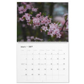 Cherry Blossom Kalender (Mar 2027)