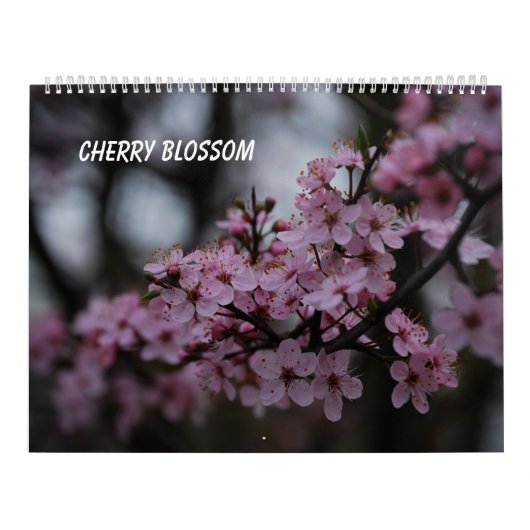 Cherry Blossom Kalender (Hoes)