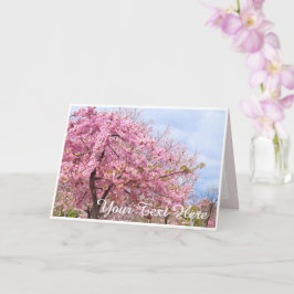 Cherry blossom "Kawazu-Zakura" カード Kaart