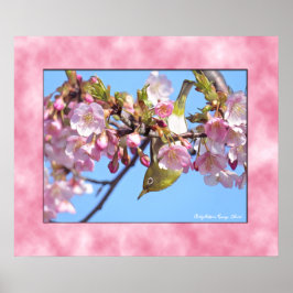 Cherry blossom "Kawazu-Zakura" ポスター Poster