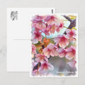 Cherry blossom: Kawazu-Zakura ポストカード Briefkaart (Voorkant / Achterkant)