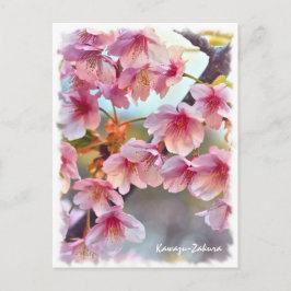 Cherry blossom: Kawazu-Zakura ポストカード Briefkaart