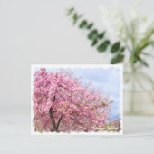 Cherry blossom: Kawazu-Zakura ポストカード Briefkaart (Staand voorkant)