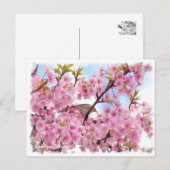 Cherry blossom: Kawazu-Zakura ポストカード Briefkaart (Voorkant / Achterkant)