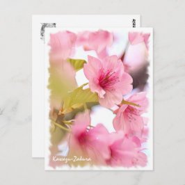 Cherry blossom: Kawazu-Zakura ポストカード Briefkaart