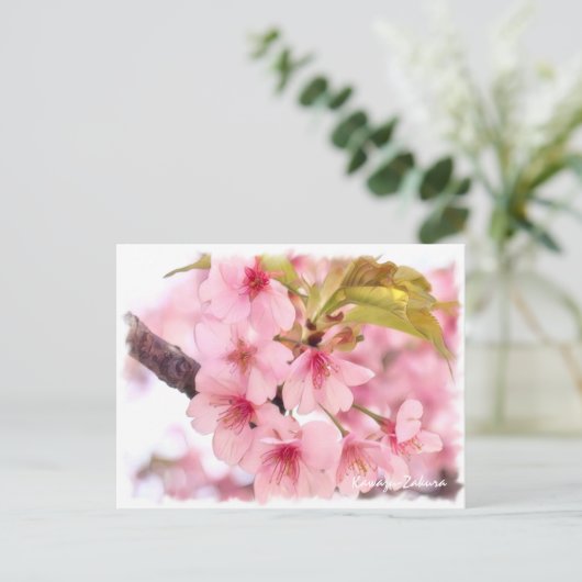Cherry blossom: Kawazu-Zakura ポストカード Briefkaart (Staand voorkant)