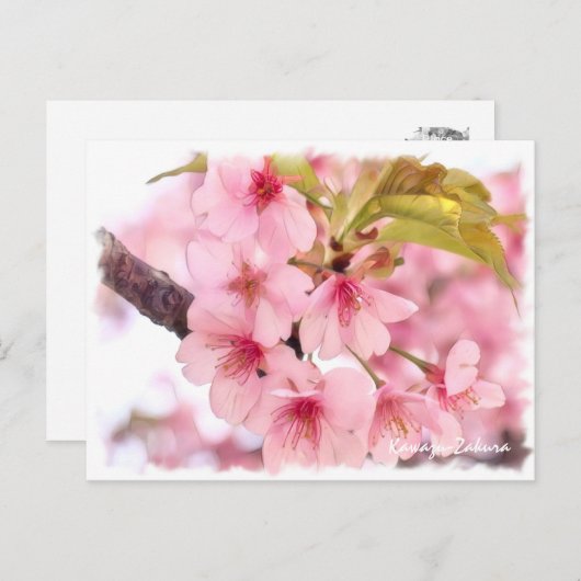 Cherry blossom: Kawazu-Zakura ポストカード Briefkaart (Voorkant / Achterkant)