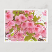 Cherry blossom "Kawazu-Zakura" Briefkaart (Voorkant)