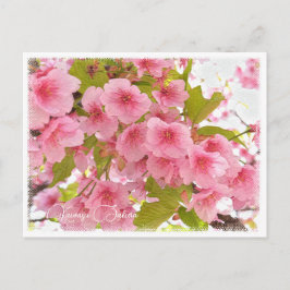 Cherry blossom "Kawazu-Zakura" Briefkaart