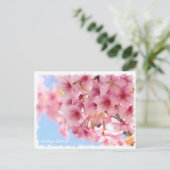 Cherry blossom: Kawazu-Zakura Briefkaart (Staand voorkant)