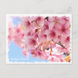 Cherry blossom: Kawazu-Zakura Briefkaart