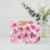 Cherry Blossom "Kawazu-zakura":Briefkaart Briefkaart (Staand voorkant)