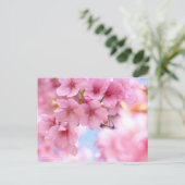 Cherry Blossom "Kawazu-zakura":Briefkaart Briefkaart (Staand voorkant)
