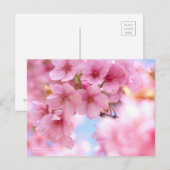 Cherry Blossom "Kawazu-zakura":Briefkaart Briefkaart (Voorkant / Achterkant)