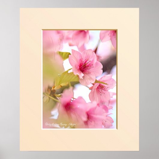 Cherry blossom "Kawazu-Zakura" Poster (Voorkant)