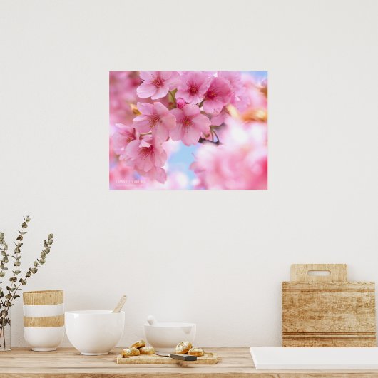 Cherry blossom"Kawazu-zakura":Poster Poster (Keuken)