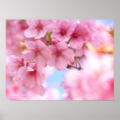 Cherry blossom"Kawazu-zakura":Poster Poster (Voorkant)