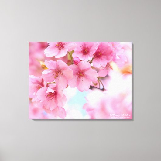 Cherry blossom"Kawazu-zakura"：Premium Canvas Afdruk (Voorkant)