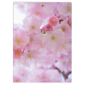 Cherry blossom klembord (Achterkant)