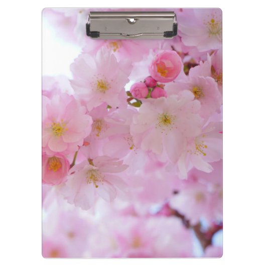 Cherry blossom klembord (Voorkant)