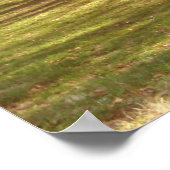 Cherry Blossom Landschap Poster (Hoek)