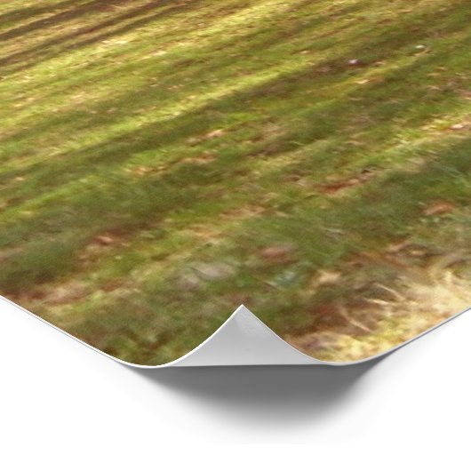 Cherry Blossom Landschap Poster (Hoek)