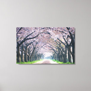 Cherry Blossom Lane Canvas Afdruk