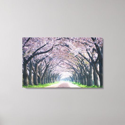 Cherry Blossom Lane Canvas Afdruk (Voorkant)