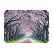 Cherry Blossom Lane Magneet (Horizontaal)