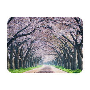 Cherry Blossom Lane Magneet
