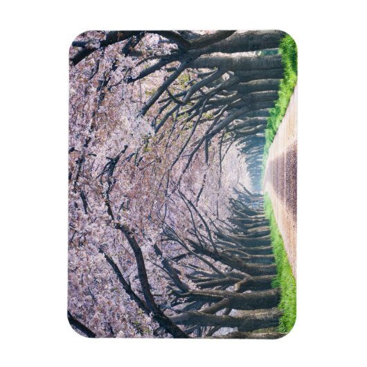Cherry Blossom Lane Magneet (Verticaal)