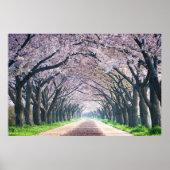 Cherry Blossom Lane Poster (Voorkant)