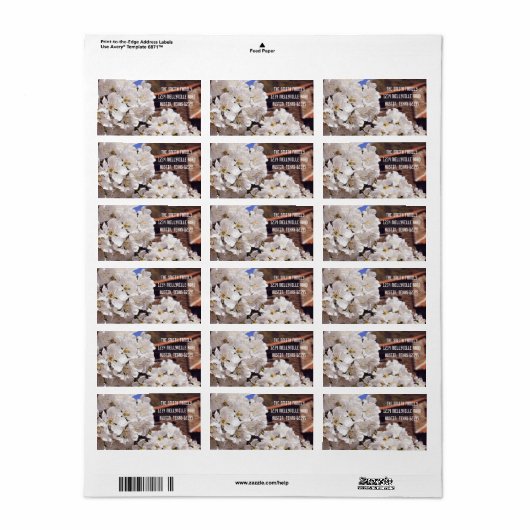 Cherry Blossom. Lente. Etiket (Full Sheet)