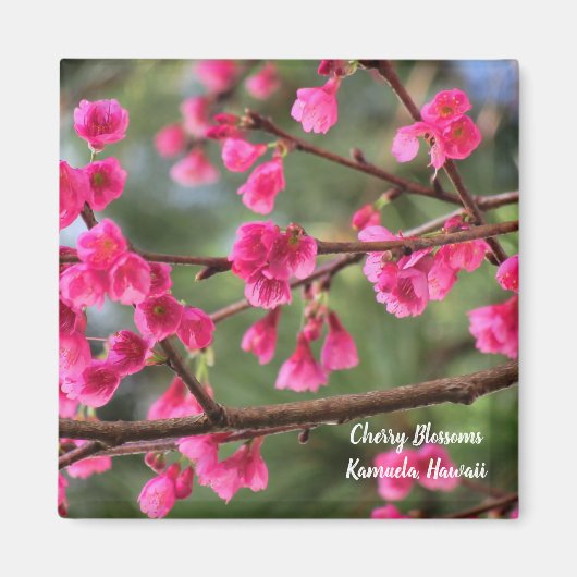 Cherry Blossom Magneet (Voorkant)