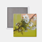 Cherry Blossom Magneet (Voorkant / Achterkant)