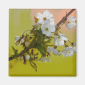 Cherry Blossom Magneet (Voorkant)