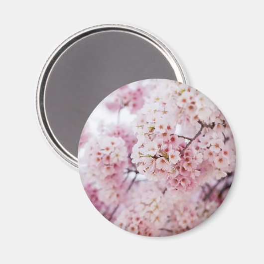 Cherry Blossom Magneet (Voorkant / Achterkant)