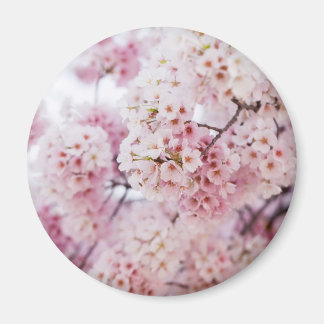 Cherry Blossom Magneet