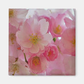 Cherry Blossom Magneet (Voorkant)