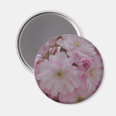 Cherry Blossom Magneet (Voorkant / Achterkant)