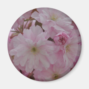 Cherry Blossom Magneet