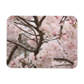 Cherry Blossom Magneet (Horizontaal)