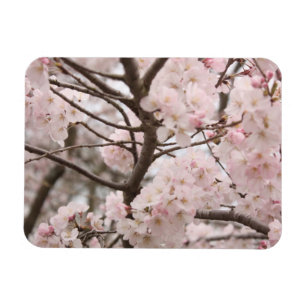 Cherry Blossom Magneet