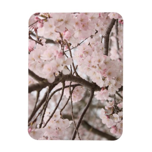 Cherry Blossom Magneet (Verticaal)