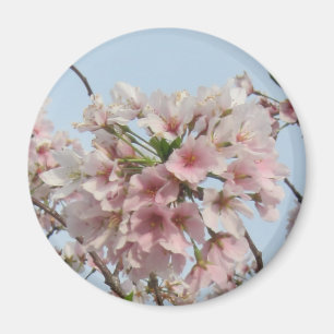Cherry Blossom Magneet